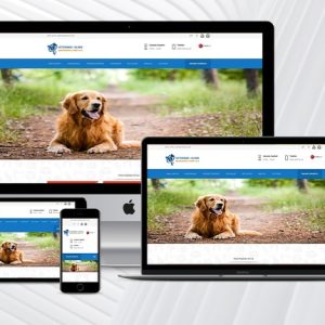 Veteriner / Klinik Web Paketi
